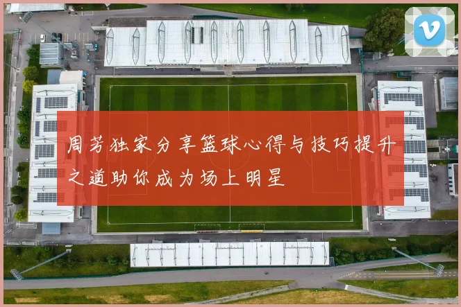 周芳独家分享篮球心得与技巧提升之道助你成为场上明星